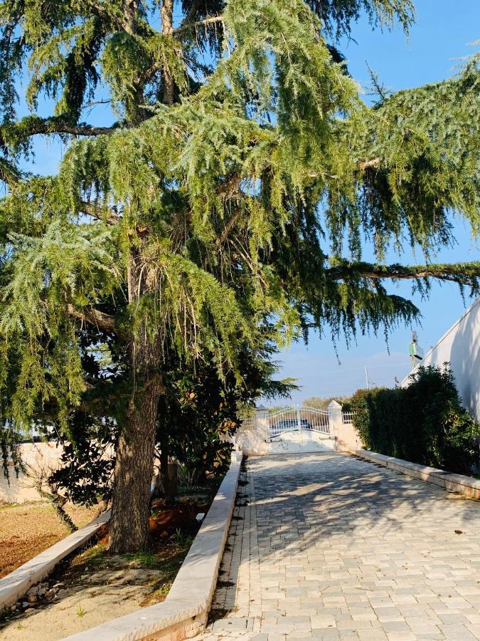 Trullo Labellavita Putignano Zewnętrze zdjęcie